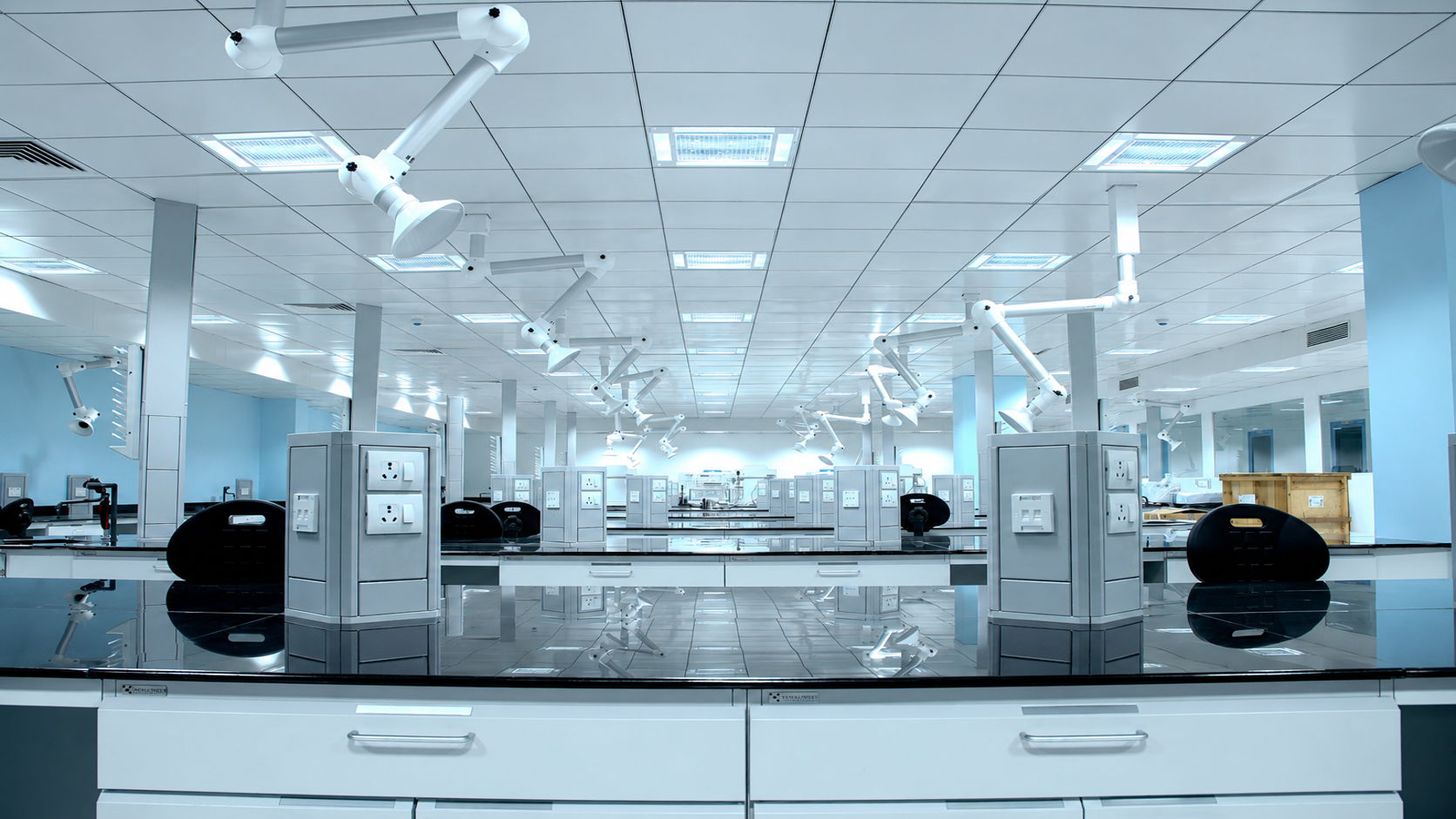 Apotex
